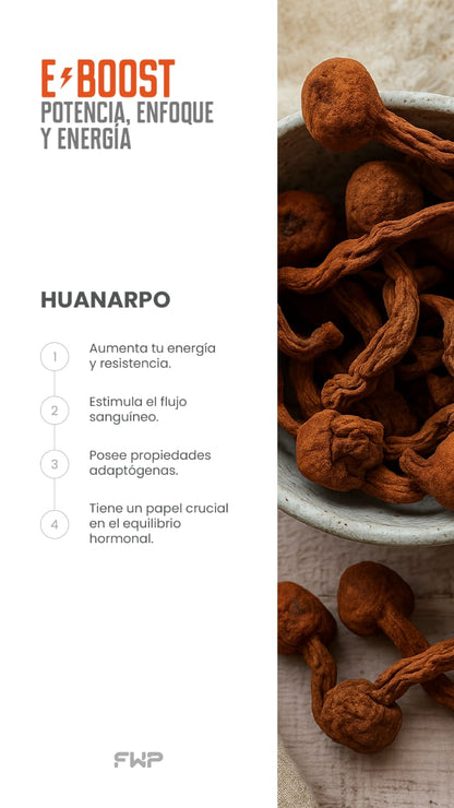 EBOOST ENERGIZANTE PREMIUM