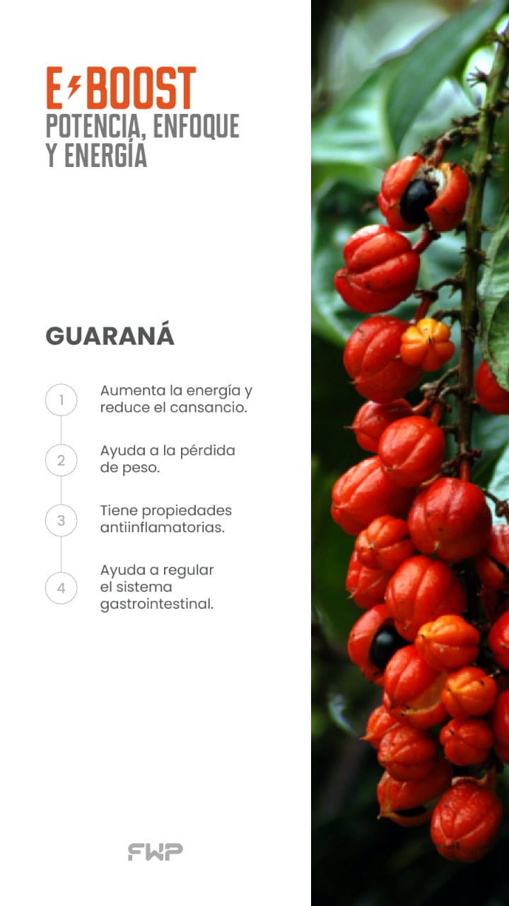 EBOOST ENERGIZANTE PREMIUM