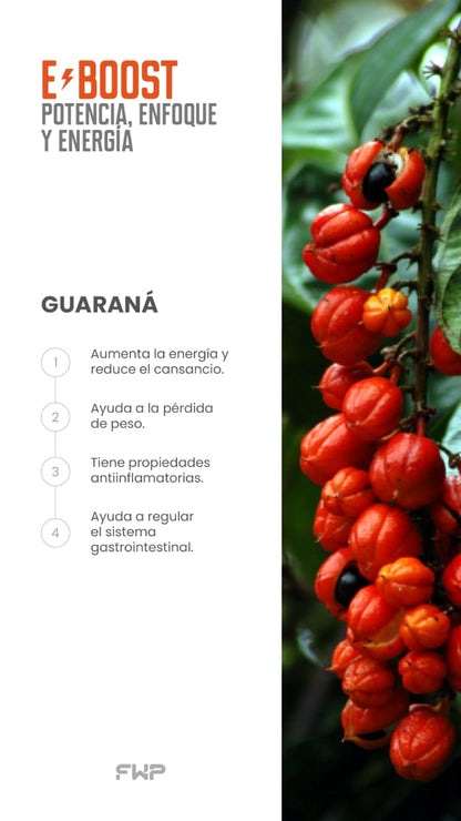 EBOOST ENERGIZANTE PREMIUM